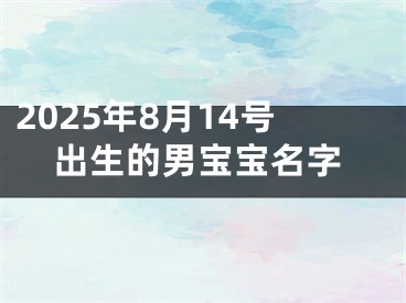 2025年8月14号出生的男宝宝名字