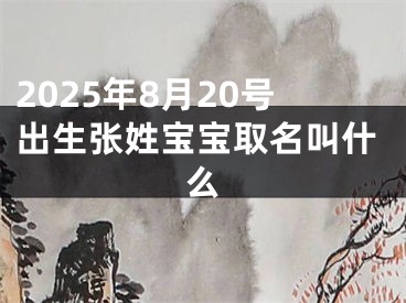 2025年8月20号出生张姓宝宝取名叫什么