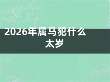 2026年属马犯什么太岁