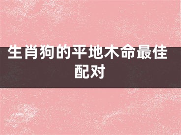 生肖狗的平地木命最佳配对