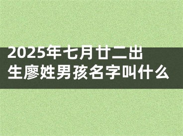 2025年七月廿二出生廖姓男孩名字叫什么