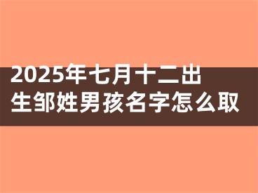 2025年七月十二出生邹姓男孩名字怎么取