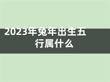 2023年兔年出生五行属什么