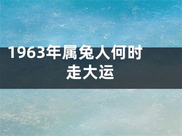 1963年属兔人何时走大运