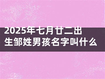 2025年七月廿二出生邹姓男孩名字叫什么
