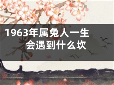 1963年属兔人一生会遇到什么坎