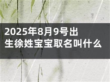 2025年8月9号出生徐姓宝宝取名叫什么