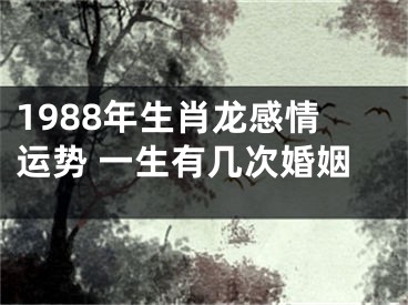 1988年生肖龙感情运势 一生有几次婚姻