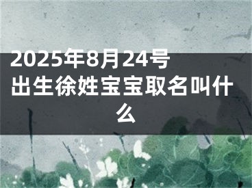 2025年8月24号出生徐姓宝宝取名叫什么