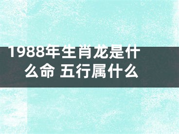 1988年生肖龙是什么命 五行属什么