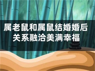 属老鼠和属鼠结婚婚后关系融洽美满幸福