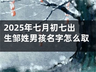 2025年七月初七出生邹姓男孩名字怎么取