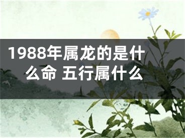 1988年属龙的是什么命 五行属什么