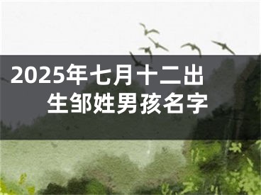2025年七月十二出生邹姓男孩名字