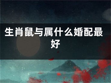 生肖鼠与属什么婚配最好