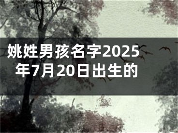 姚姓男孩名字2025年7月20日出生的
