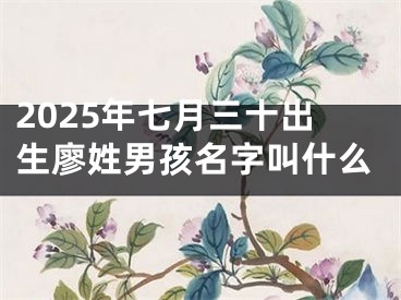 2025年七月三十出生廖姓男孩名字叫什么