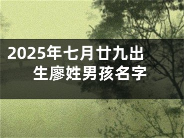 2025年七月廿九出生廖姓男孩名字