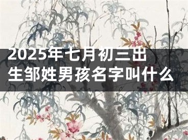 2025年七月初三出生邹姓男孩名字叫什么
