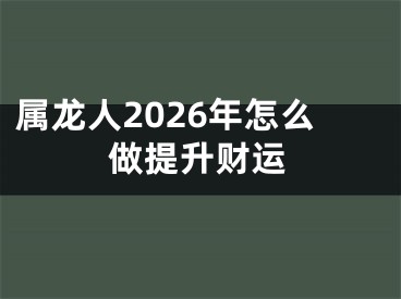 属龙人2026年怎么做提升财运