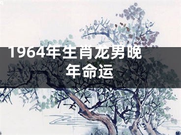 1964年生肖龙男晚年命运