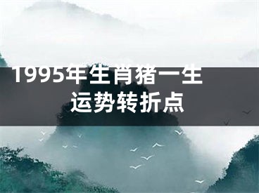 1995年生肖猪一生运势转折点