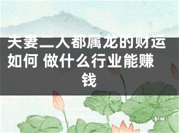 夫妻二人都属龙的财运如何 做什么行业能赚钱