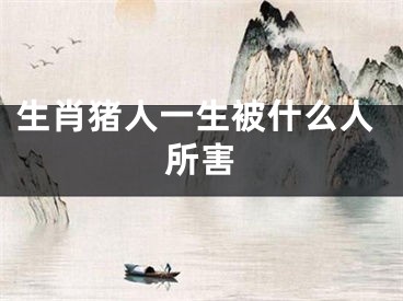 生肖猪人一生被什么人所害