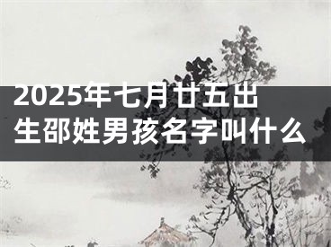 2025年七月廿五出生邵姓男孩名字叫什么