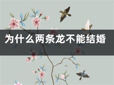 为什么两条龙不能结婚