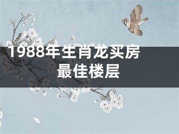 1988年生肖龙买房最佳楼层