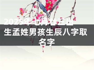 2025年七月廿三出生孟姓男孩生辰八字取名字