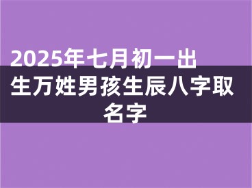2025年七月初一出生万姓男孩生辰八字取名字