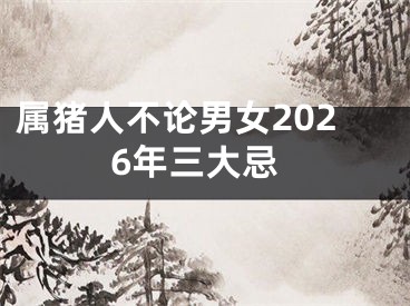 属猪人不论男女2026年三大忌