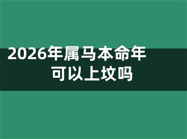 2026年属马本命年可以上坟吗