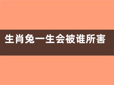 生肖兔一生会被谁所害