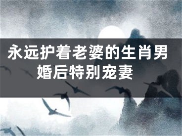 永远护着老婆的生肖男 婚后特别宠妻