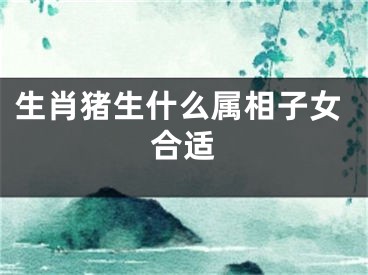 生肖猪生什么属相子女合适