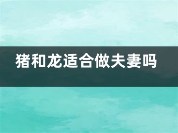 猪和龙适合做夫妻吗