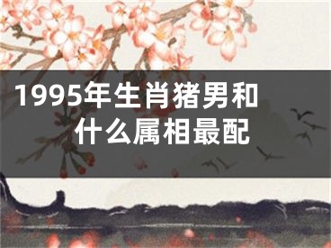 1995年生肖猪男和什么属相最配