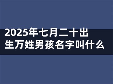 2025年七月二十出生万姓男孩名字叫什么