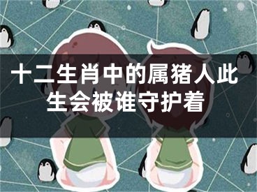 十二生肖中的属猪人此生会被谁守护着