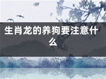 生肖龙的养狗要注意什么