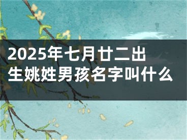 2025年七月廿二出生姚姓男孩名字叫什么