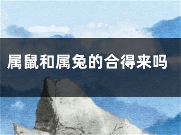 属鼠和属兔的合得来吗