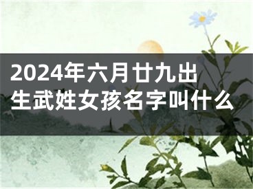 2024年六月廿九出生武姓女孩名字叫什么