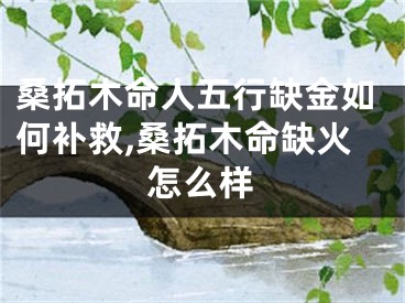 桑拓木命人五行缺金如何补救,桑拓木命缺火怎么样