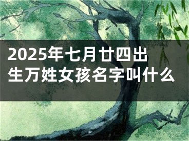 2025年七月廿四出生万姓女孩名字叫什么