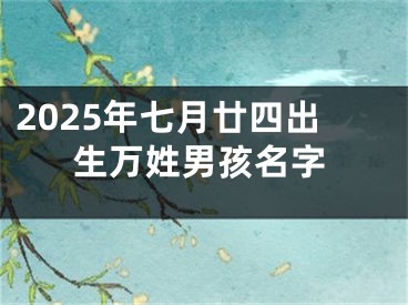 2025年七月廿四出生万姓男孩名字