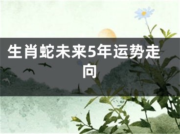 生肖蛇未来5年运势走向